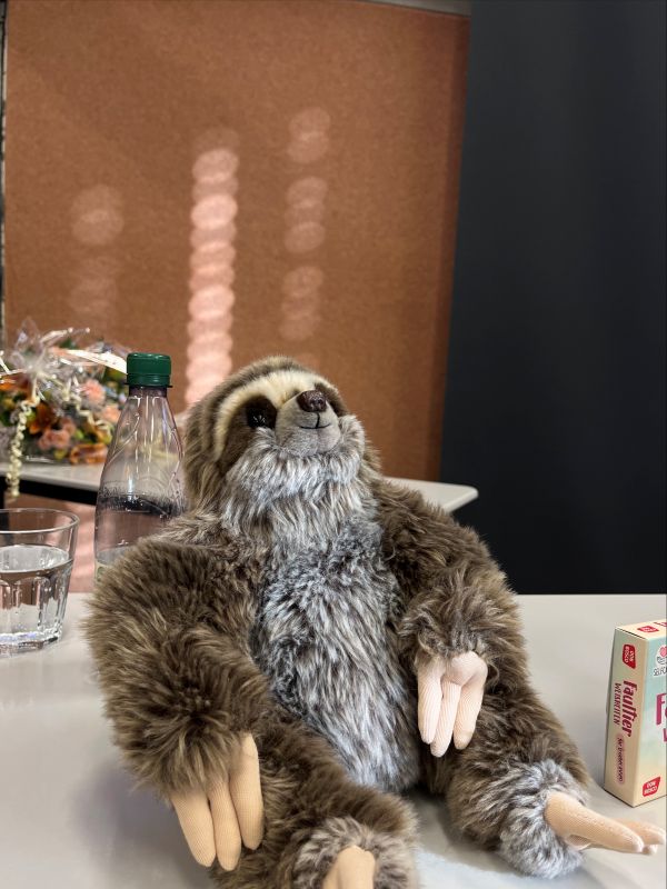 „Friedvolle Pädagogik“ – Vortrag von Dr. Anke Elisabeth Ballmann